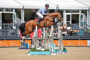 Saturday round up from Bolesworth
